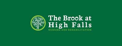 The Brook at High Falls