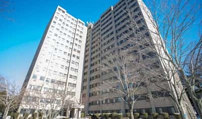 Harbor Towers