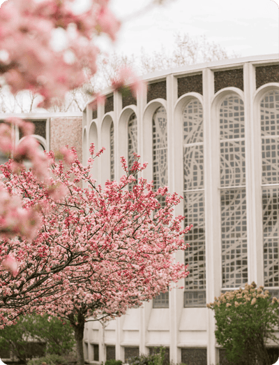 Light of Hearts Villa - Senior Living Facility