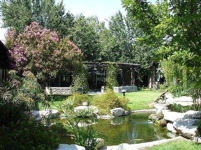 Lush garden area with pond and greenery