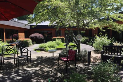 Outdoor garden area with seating and greenery