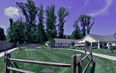 Great Falls Assisted Living, memory care in Herndon, VA — Lush green lawn surrounding residential buildings with trees