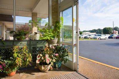 Bright entryway with plants and seating area