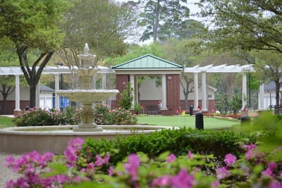 Well-maintained outdoor area with fountain and flowers