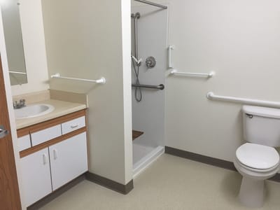 Accessible bathroom with shower and grab bars