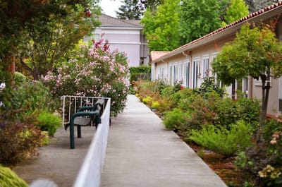 Pathway lined with flowers leading to the building
