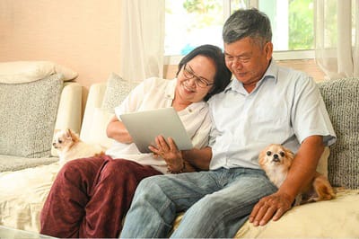 Couple enjoying time with dogs and a tablet in their living room