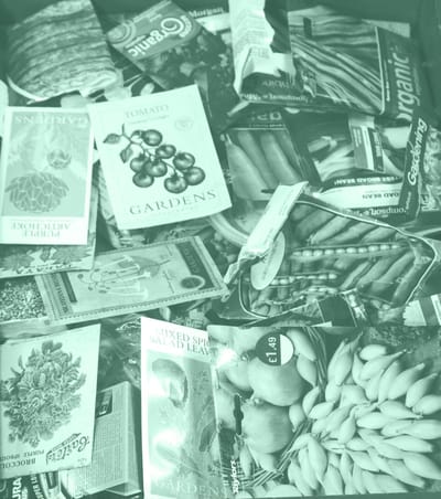 Variety of seed packets on a table