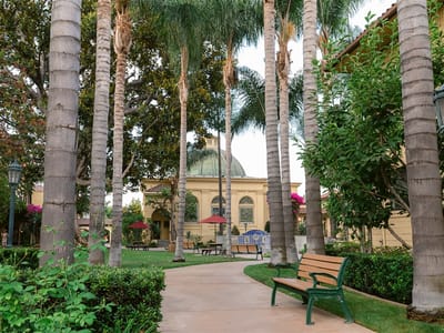 A serene garden space with palm trees and a pathway