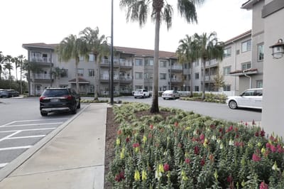 Exterior view of Windsor Pointe with landscaping