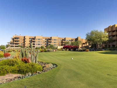 Outdoor area with lush landscaping and building in background