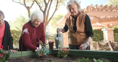 Acacia Health Center at Sagewood, Nursing Home in Phoenix, AZ — Seniors gardening together in a sunny outdoor area