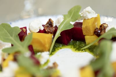 A beautifully plated salad with colorful ingredients