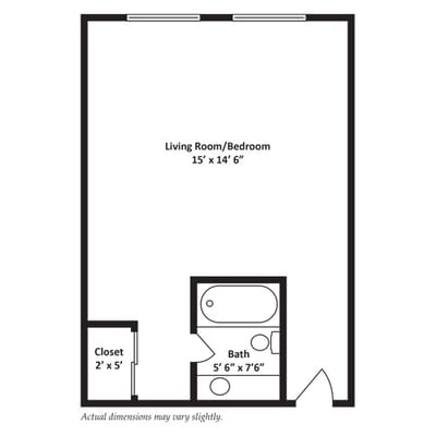 Architectural floor plan of a living room/bedroom unit