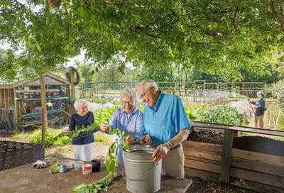 Residents gardening in a sunny outdoor area