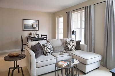 Cozy living room with modern furnishings and natural light