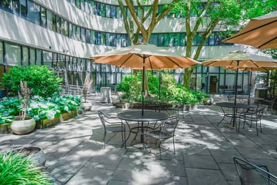 Outdoor courtyard with tables and umbrellas