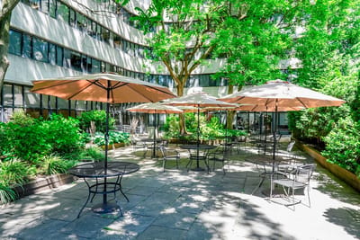 Outdoor space with tables and umbrellas in a garden setting