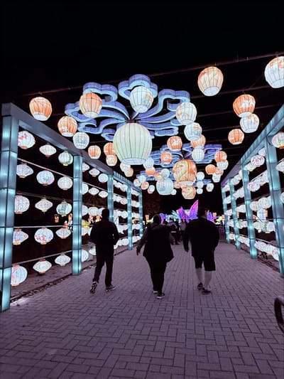 Ovation Jewish Home, Nursing Home in Milwaukee, WI — Lanterns illuminating a pathway at night with visitors