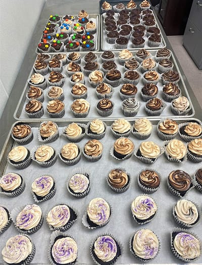 Trays of colorful cupcakes arranged neatly