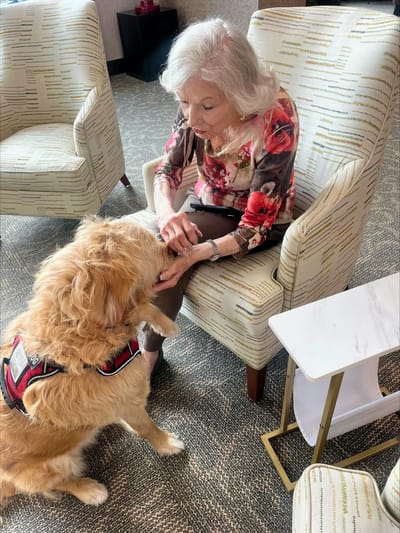 An elderly woman interacting with a therapy dog in a common area