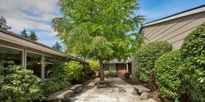 Tree and benches in a peaceful outdoor space