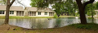 Scenic view of a pond and residential buildings