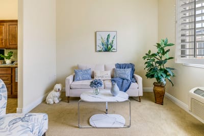 Cozy seating area in a bright common space