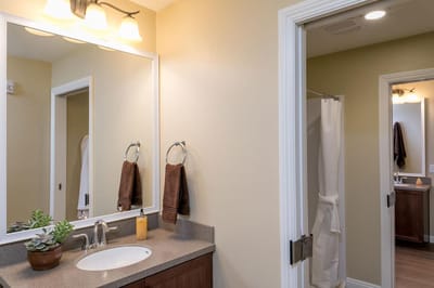Bright interior bathroom with modern features