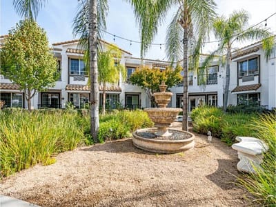 Outdoor garden with fountain and palm trees