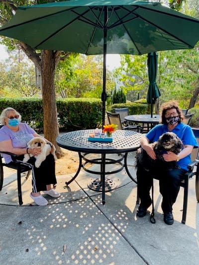 Residents and staff relaxing outdoors with dogs
