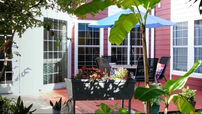 Patio area with plants and an umbrella