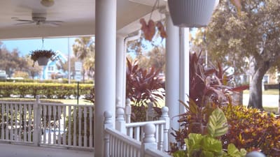Flowering plants on a porch area