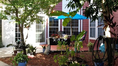 Tranquil outdoor space with plants and seating