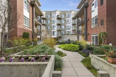 Scenic courtyard with greenery and walking path.
