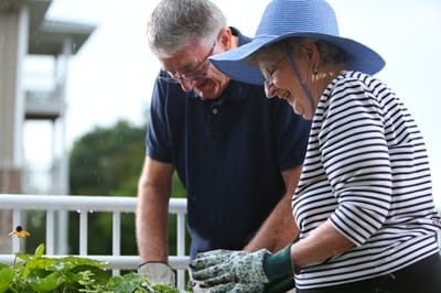 Residents gardening together in a community garden