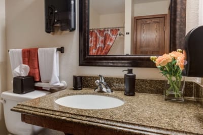 Clean sink area in a facility bathroom