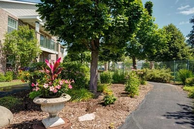 Well-maintained garden path with colorful flowers