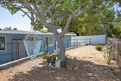 Outdoor space with a tree and hanging chair near the facility
