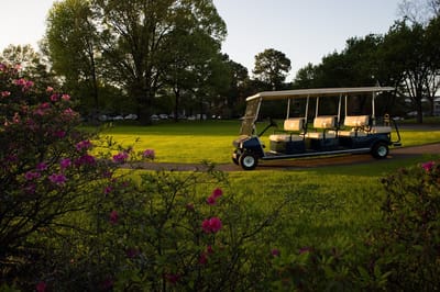 Golf cart parked on a grassy area with flowers