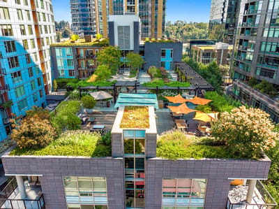 Aerial view of the rooftop garden featuring greenery and seating areas.