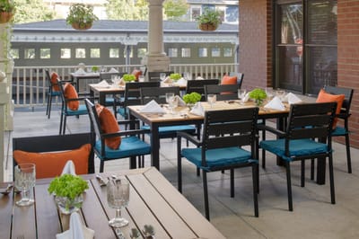 Outdoor dining area set for a meal with greenery