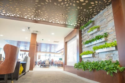 Interior view of a stylish common area with plants