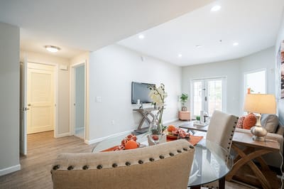 Bright interior living space with modern furnishings