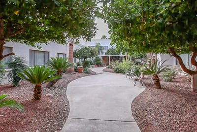 Pathway through a landscaped outdoor area