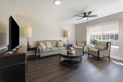 Bright living room area with comfortable seating