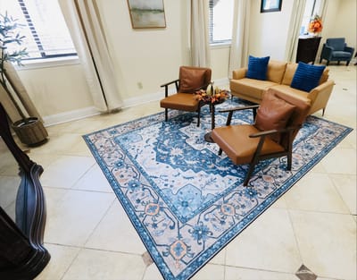Cozy lounge area with seating and decorative rug