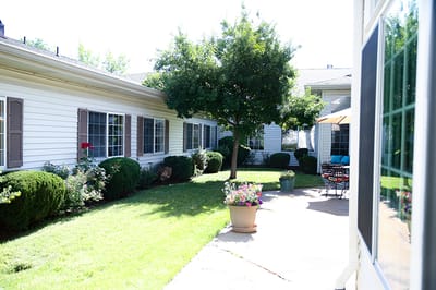 Well-maintained garden area with lush greenery