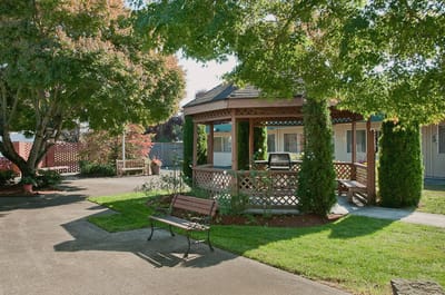 Outdoor gazebo surrounded by lush greenery