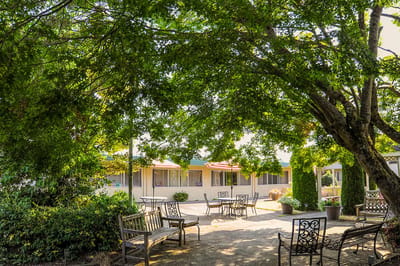Outdoor seating area with benches and trees